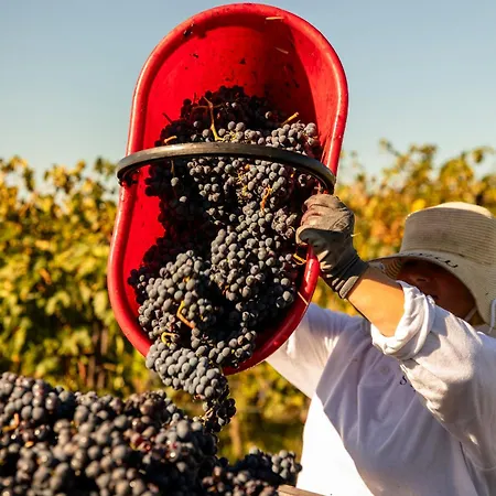 Borgo San Felice Castelnuovo Berardenga