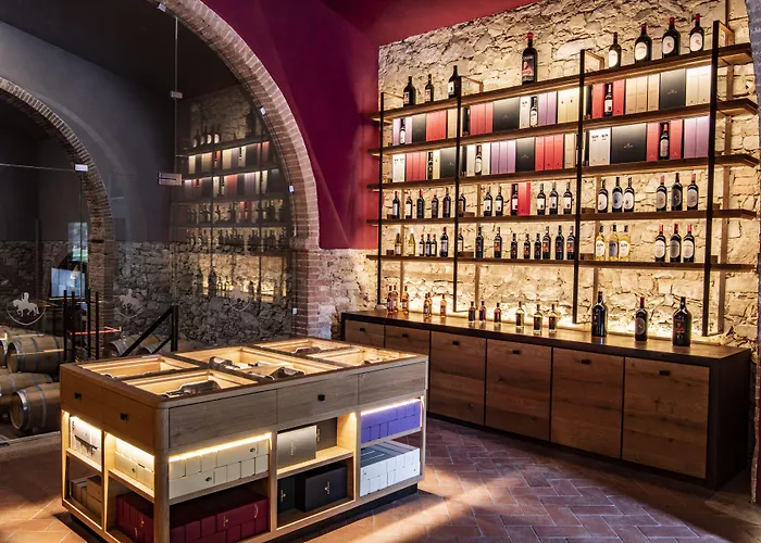 Borgo San Felice 酒店 卡斯德尔诺沃贝拉登卡