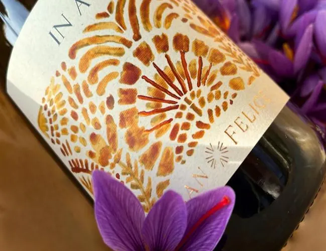 酒店 Borgo San Felice 5*